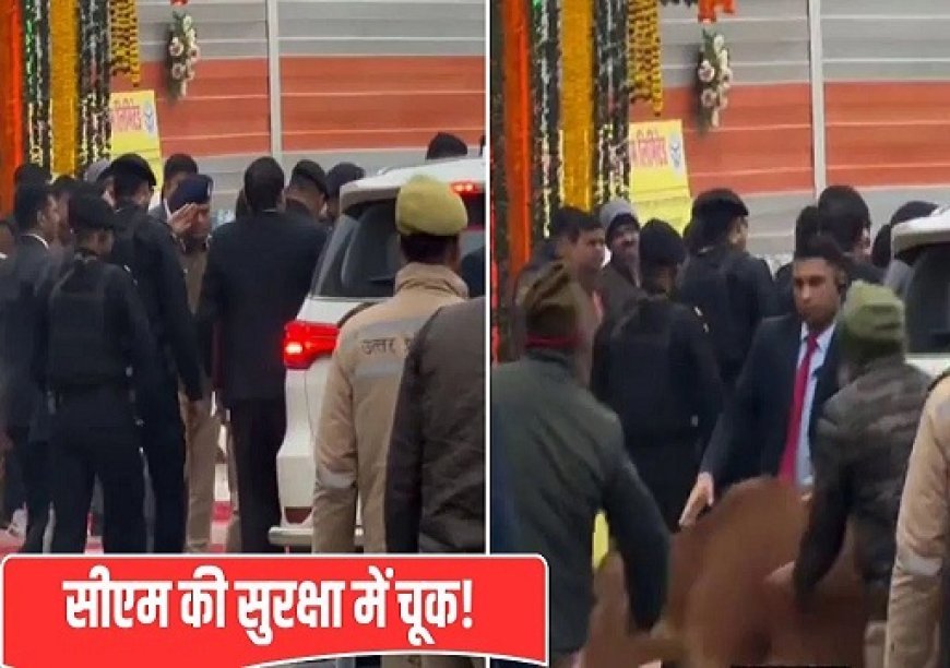 गोरखपुर में सीएम योगी की सुरक्षा घेरे में घुसी आवारा गाय, नगर निगम सुपरवाइजर निलंबित।