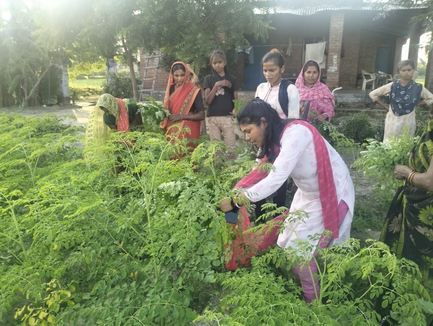 Lucknow : सीएम योगी का विजन - मोरिंगा से आत्मनिर्भर बन रहीं यूपी की बेटियां