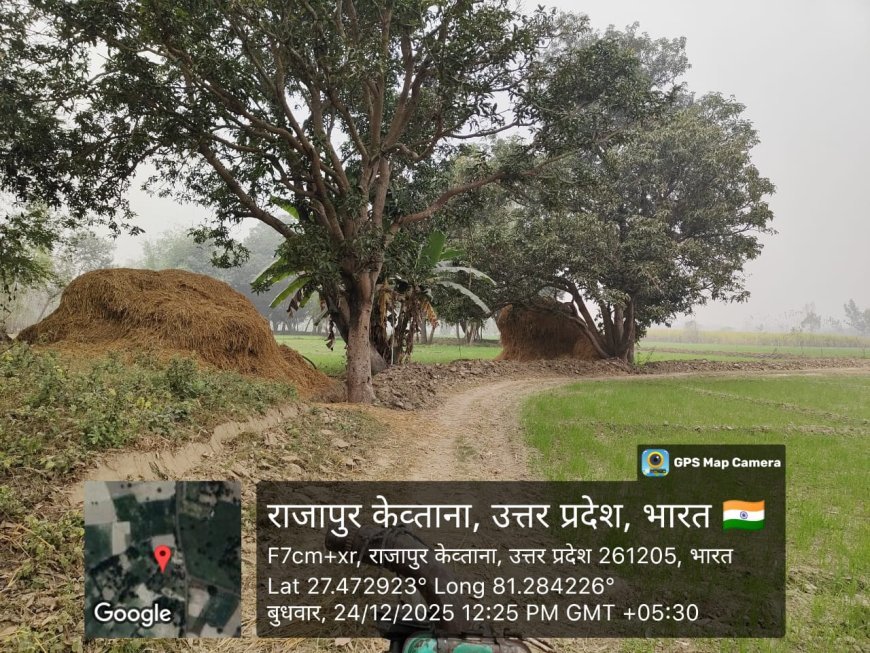 Sitapur : रेउसा में मनरेगा योजना में फर्जी हाजिरी का खेल जारी, जिम्मेदारों की मिलीभगत का आरोप