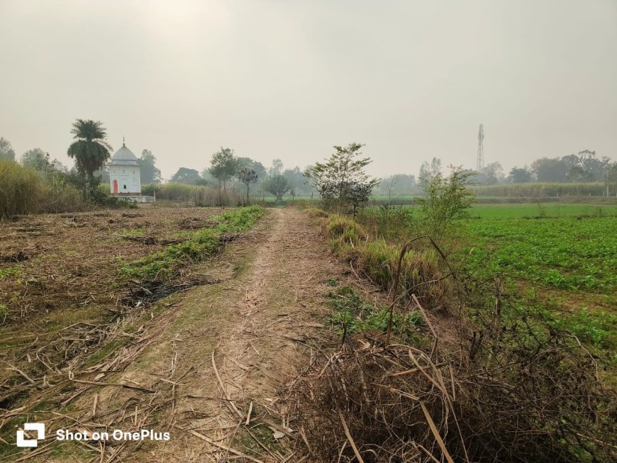 Sitapur : चक मार्ग पर अवैध कब्जे से किसानों को खेत पहुंचने में हो रही भारी मुश्किल