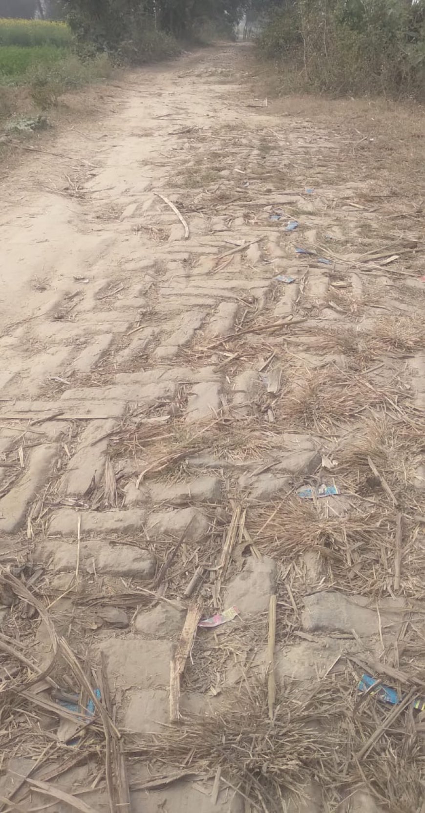 Sitapur : आजादी के बाद भी खड़ंजा सड़कों पर सफर कर रहे ग्रामीण