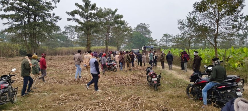 Lakhimpur : धौरहरा में तेंदुए के हमले से बुजुर्ग की मौत, अधखाया शव मिला