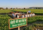 उत्तर प्रदेश में किसान पाठशाला 8.0 (रबी 2025-26) का सफल आयोजन, 20.15 लाख किसानों से की गई ‘खेत की बात’। 