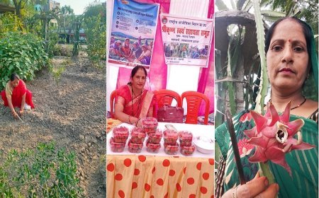 Lucknow: गांव में स्ट्रॉबेरी, ड्रैगनफ्रूट और रागी से तीन लाख तक कमा रहीं इटावा की मंत्रवती शाक्य। 