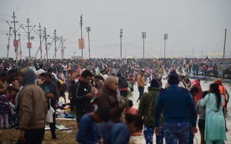 Prayagraj: कड़ाके की ठंड में आस्था का सैलाब: पौष पूर्णिमा पर माघ मेला शुभारंभ, 31 लाख से अधिक ने लगाई डुबकी। 