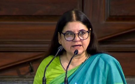 मेनका गांधी का तीखा बयान: पटाखे जलाने वाले देशद्रोही, दिवाली पटाखे दिल्ली प्रदूषण का मुख्य कारण।