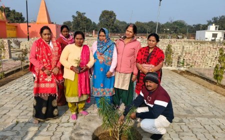 Sitapur: मां संकटा देवी मंदिर परिसर में वृक्षारोपण, पर्यावरण संरक्षण का दिया संदेश। 