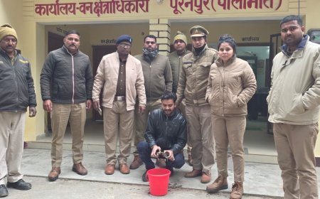 Pilibhit : घर में अवैध रूप से कछुओं को रखना युवक को पड़ा महंगा, आरोपी युवक को वन्य जीव संरक्षण अधिनियम की धारा के अंतर्गत भेजा गया जेल