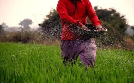 Lucknow : उत्तर प्रदेश में यूरिया के साथ गैर-अनुदानित उर्वरकों की टैगिंग पर पूर्ण प्रतिबंध