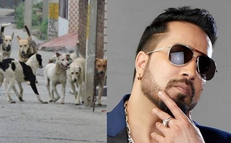 मीका सिंह ने सुप्रीम कोर्ट से आवारा कुत्तों के लिए भावुक अपील की, 10 एकड़ जमीन दान करने का वादा किया।