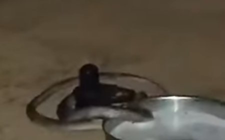 Barabanki : बाराबंकी के बिछलखा गांव में शिवलिंग पर लिपटा कोबरा सांप अचानक लुप्त, श्रद्धालु दर्शन के लिए उमड़े