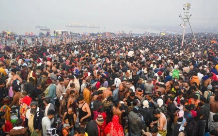 प्रयागराज माघ मेला में मौनी अमावस्या पर शंकराचार्य अविमुक्तेश्वरानंद सरस्वती का रथ रोका, भीड़ प्रबंधन के लिए प्रशासन ने पैदल जाने का अनुरोध किया