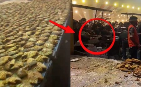 हापुड़ शादी समारोह में फिश फ्राई स्टॉल पर बारातियों की बेकाबू भीड़, मछली के टुकड़ों के लिए मची होड़ और अफरा-तफरी