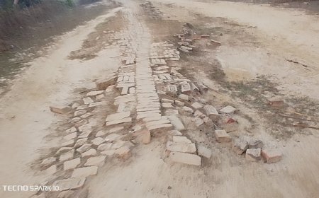 Sitapur : 12 साल पुराना जर्जर खड़ंजा, दोपहिया चालकों की जान खतरे में, आजाद अधिकार सेना ने मुख्यमंत्री पोर्टल पर मरम्मत की मांग की