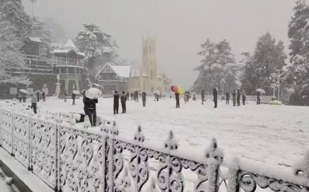 शिमला में ताजा बर्फबारी के साथ पर्यटकों की भारी भीड़, शहर पहुंचने वाले मार्गों पर लंबे ट्रैफिक जाम से बढ़ा दबाव। 