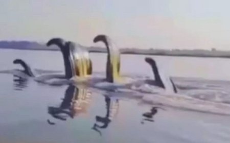 यमुना नदी में कालिया नाग दिखने का दावा गलत, वायरल वीडियो AI जनरेटेड है जानें पूरी सच्चाई।