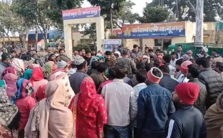 Hapur : उपैड़ा जंगल में आम के पेड़ पर लटका मिला मजदूर का शव, परिजनों ने लगाया हत्या का आरोप