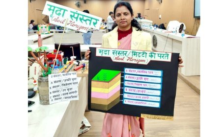 Sultanpur : शिक्षिका प्रतिभा यादव को राज्य स्तरीय कला क्राफ्ट पपेट्री प्रतियोगिता में पांचवां स्थान