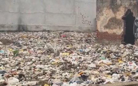 Hathras: सिकंदराराऊ में सफाई व्यवस्था बदहाल, बीमारियों का खतरा बढ़ा, लोग नाराज। 