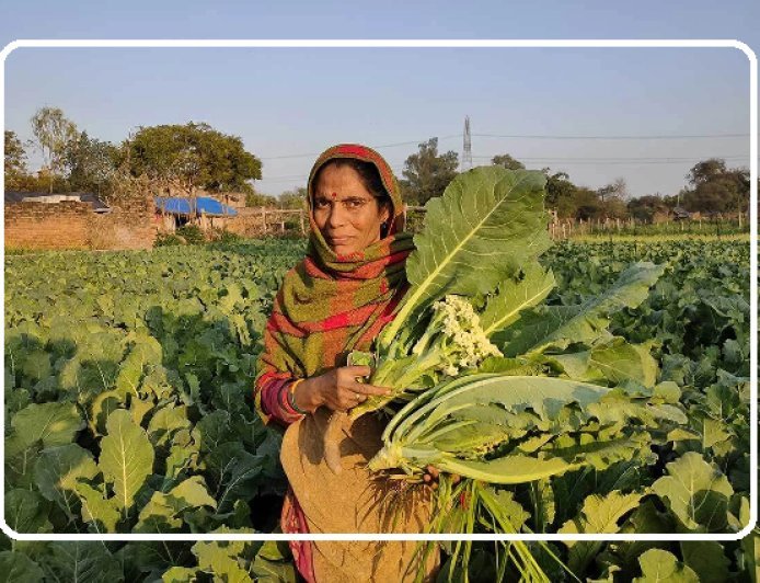 Lucknow: Uttar Pradesh leads in women’s empowerment with rural women in 826 blocks across 75 districts learning modern farming techniques.