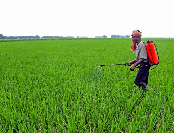 Amethi : अमेठी में निःशुल्क दलहन बीज मिनीकिट वितरण की प्रक्रिया शुरू, ई-लॉटरी से होगा चयन