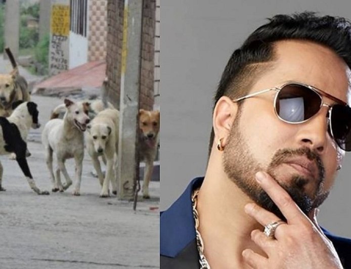 मीका सिंह ने सुप्रीम कोर्ट से आवारा कुत्तों के लिए भावुक अपील की, 10 एकड़ जमीन दान करने का वादा किया।