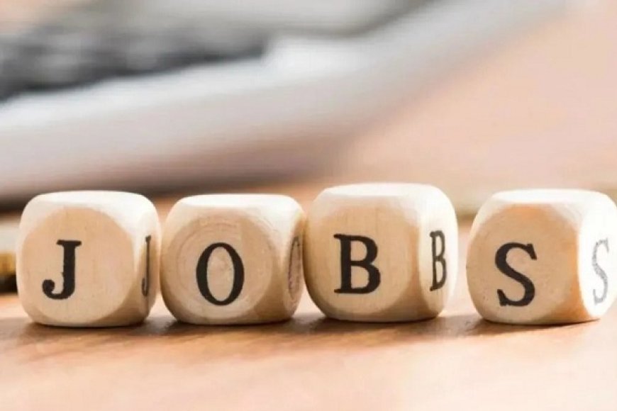 UP Government Jobs: यूपी में सरकारी नौकरी का बड़ा मौका! नागरिक सुरक्षा विभाग में 191 पदों पर होगी भर्ती