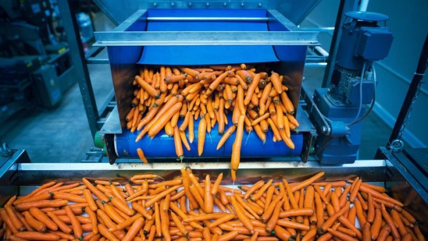 Lucknow : खाद्य प्रसंस्करण उद्योग नीति के तहत तेजी लाने के निर्देश, उत्कृष्ट कार्य करने वाले अधिकारियों की प्रशंसा