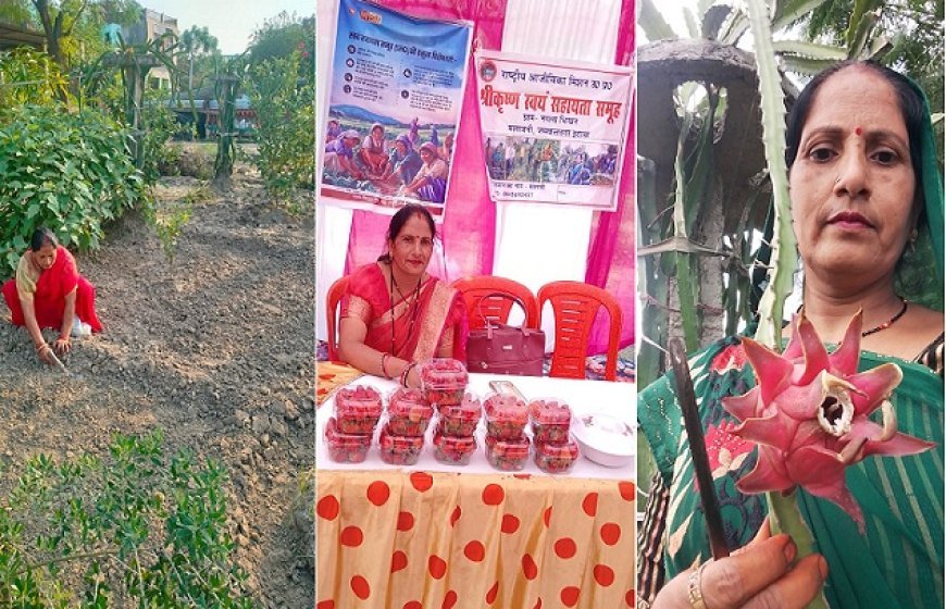 Lucknow: गांव में स्ट्रॉबेरी, ड्रैगनफ्रूट और रागी से तीन लाख तक कमा रहीं इटावा की मंत्रवती शाक्य। 