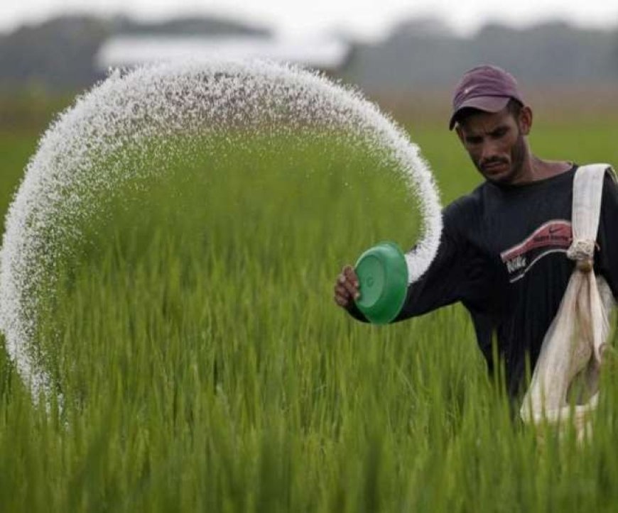 Lucknow : उत्तर प्रदेश में कृषि क्षेत्र को मजबूत करने के लिए बड़ी राशि स्वीकृत, गैर-अनुदानित उर्वरकों की बिक्री पर रोक