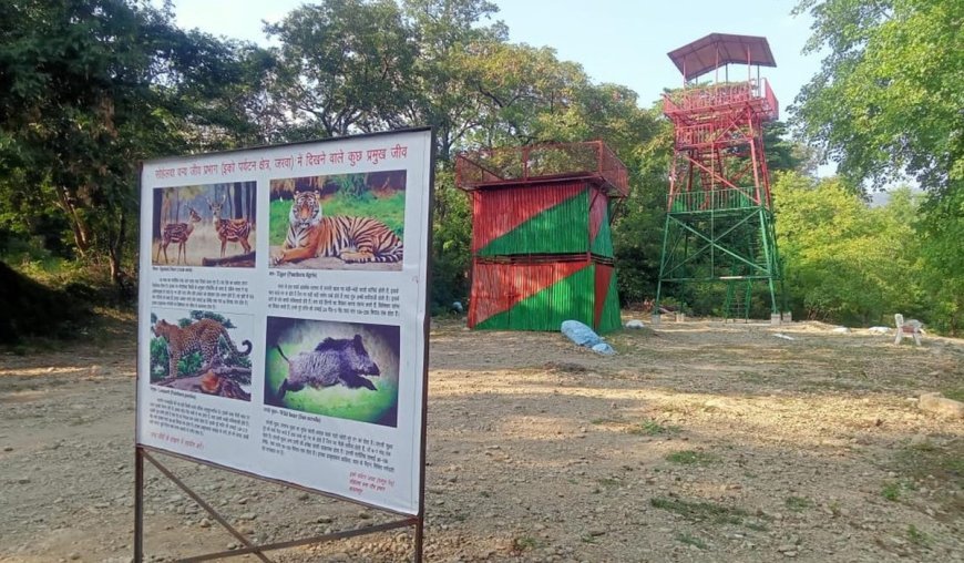 Balrampur : सोहेलवा वन्यजीव प्रभाग में जरवा इको-टूरिज्म स्थल का तेज विकास, पर्यटकों के लिए नई सुविधाएं