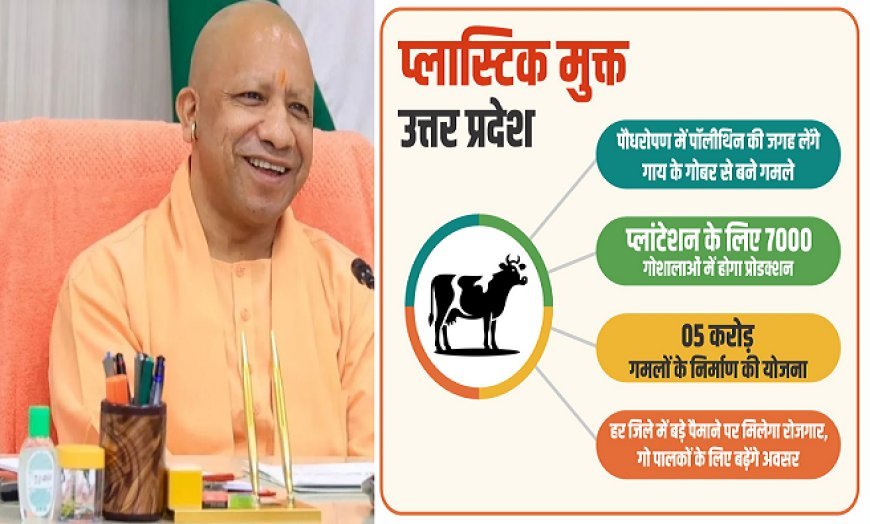 Lucknow: यूपी में पॉलीथिन की जगह लेंगे गाय के गोबर से बने गमले, प्लांटेशन के लिए 7000 गोशालाओं में होगा प्रोडक्शन। 