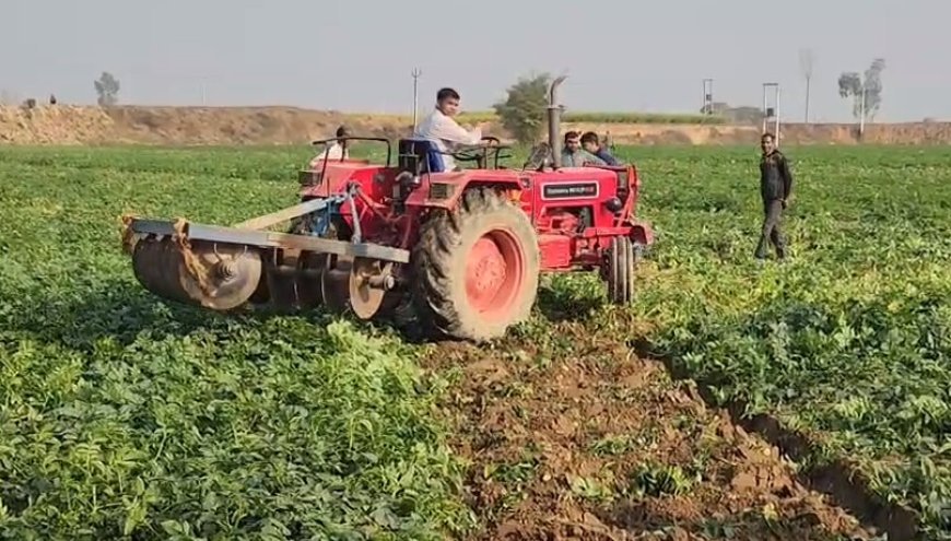 Sambhal: श्मशान की भूमि कराई गई कब्जा मुक्त, सवा छह बीघे जमीन से हटाया गया अवैध कब्जा।
