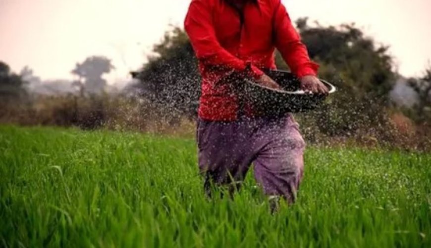 Lucknow : उत्तर प्रदेश में यूरिया के साथ गैर-अनुदानित उर्वरकों की टैगिंग पर पूर्ण प्रतिबंध