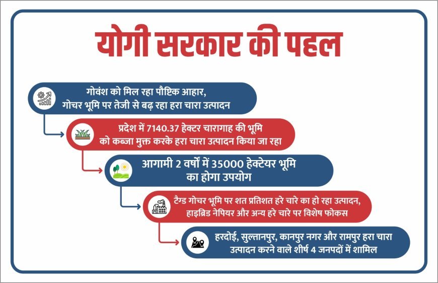 Lucknow : योगी सरकार की संवेदनशील पहल- गोवंश को मिल रहा पौष्टिक आहार, गोचर भूमि पर तेजी से बढ़ रहा हरा चारा उत्पादन