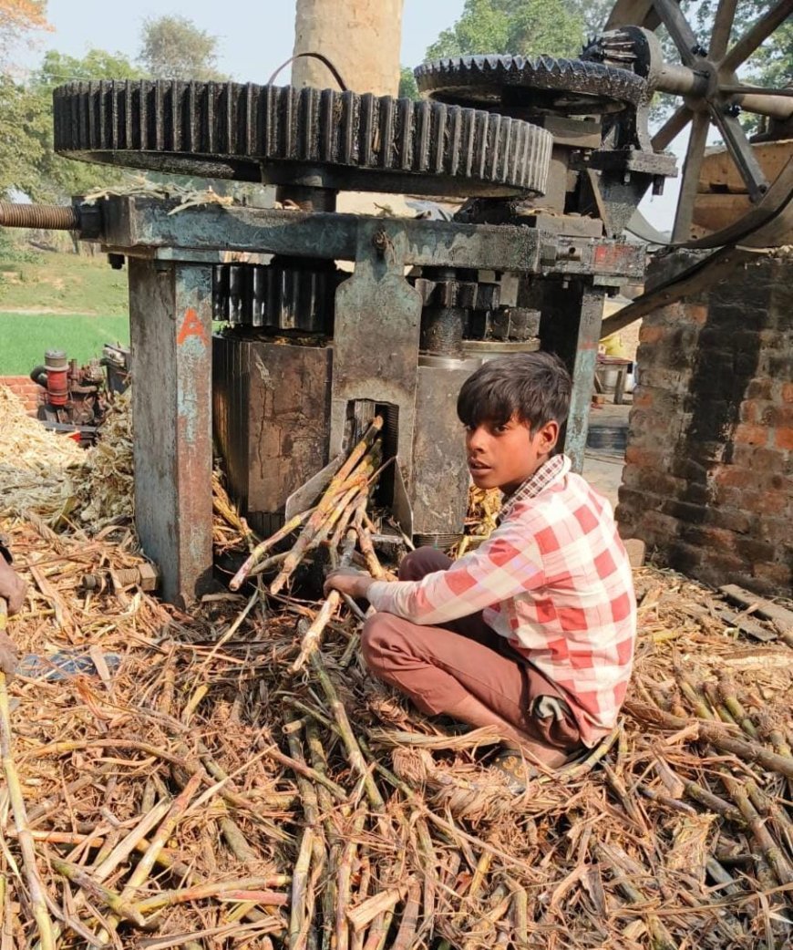 Lakhimpur : बिना लाइसेंस गुड़ भट्ठियां चल रही अवैध इकाइयां, बच्चों से काम करवाकर रसायनों से गुड़ तैयार, प्रशासन पर लापरवाही का आरोप