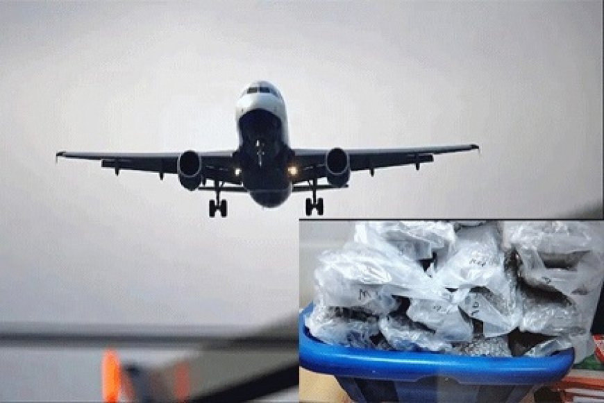 बेंगलुरु एयरपोर्ट पर बड़ी ड्रग्स बरामदगी, 38.60 करोड़ की कोकीन के साथ ब्राजील से आए यात्री को किया गिरफ्तार। 