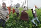 Saharanpur : गंगोह के ईसापुर गांव में पैमाइश के दौरान शिकायतकर्ताओं पर लाठी-डंडों से हमला, वीडियो वायरल
