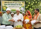 Hardoi: आम की फसल की सुरक्षा के लिए मुफ्त मैंगो प्रोटेक्शन बैग वितरण। 