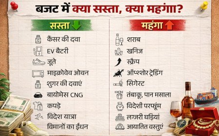 बजट 2026 में कैंसर दवाओं से लेकर कई जरूरी चीजें सस्ती, पढ़ें पूरी रिपोर्ट, सीमा शुल्क छूट से मरीजों और उपभोक्ताओं को बड़ी राहत