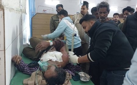 Pilibhit: नहर किनारे खेत पर फसल की रखवाली कर रहे किसान पर बाघ ने हमला कर किया घायल। 