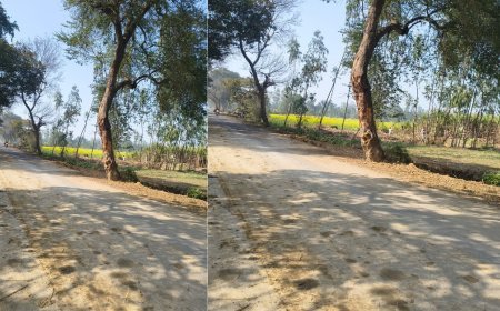 Hardoi : हरदोई के पिहानी-कुल्हावर मार्ग निर्माण में भ्रष्टाचार का आरोप, लामबंद हुए किसान यूनियन ने जांच की मांग की