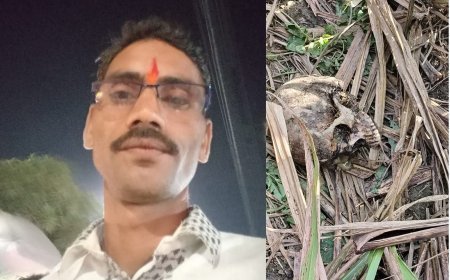 Sitapur : मिश्रिख में गन्ने के खेत में युवक का कंकाल मिला, भाई ने कपड़ों से की पहचान