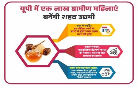 सीएम योगी का मिशन विलेज: अब ग्लोबल होगा यूपी का शहद, महिलाएं लॉन्च करेंगी अपना ब्रांड, देश-दुनिया में मिलेगी पहचान। 