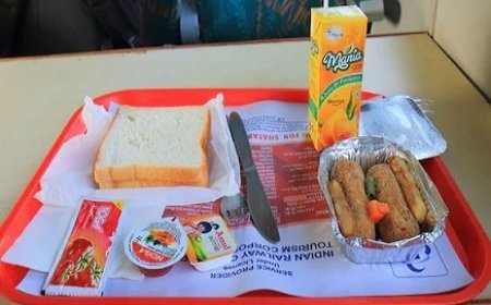 IRCTC ने शुरू की ई-पैंट्री सर्विस, 25 मेल-एक्सप्रेस ट्रेनों में पहले से ऐसे बुक कराएं खाना, सीट पर पहुंचेगा गरमा-गरम भोजन। 