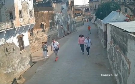 मंडावा हवेली में जर्मन पर्यटकों पर मधुमक्खियों का अचानक हमला: अफरा-तफरी मची, कई घायल।