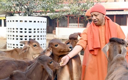 गोसंरक्षण स्पेशल स्टोरी: योगी सरकार का कीर्तिमान, पहली बार गो संरक्षण के लिए खर्च होंगे 2100 करोड़। 