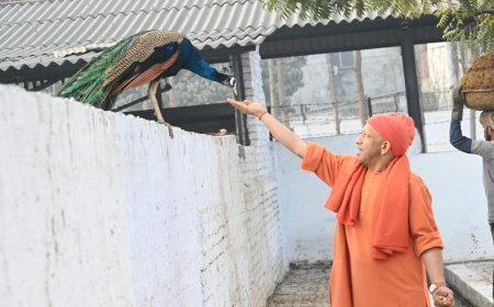 Gorakhpur : आनुष्ठानिक व्यस्तता में भी मुख्यमंत्री ने जारी रखा जनसेवा अनुष्ठान