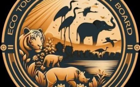 Lucknow : यूपी में ईको टूरिज्म परियोजनाओं को नई उड़ान, 10 ईको टूरिज्म स्थलों के संचालन हेतु प्रस्ताव आमंत्रित