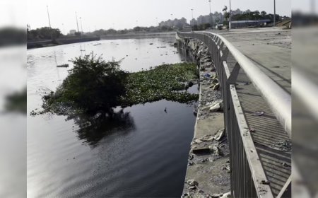 Lucknow : गोमती को स्वच्छ बनाने के लिए जुटेंगे दिग्गज, विशेषज्ञों की राय के अनुसार बनाया जाएगा गोमती को स्वच्छ बनाने का रोडमैप